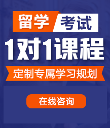 大鸡吧操小骚逼视频留学考试一对一精品课